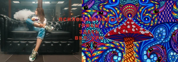 мескалин Богданович