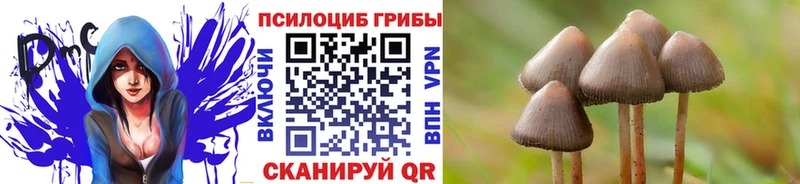 это состав  Козельск  Псилоцибиновые грибы Cubensis  магазин продажи наркотиков 